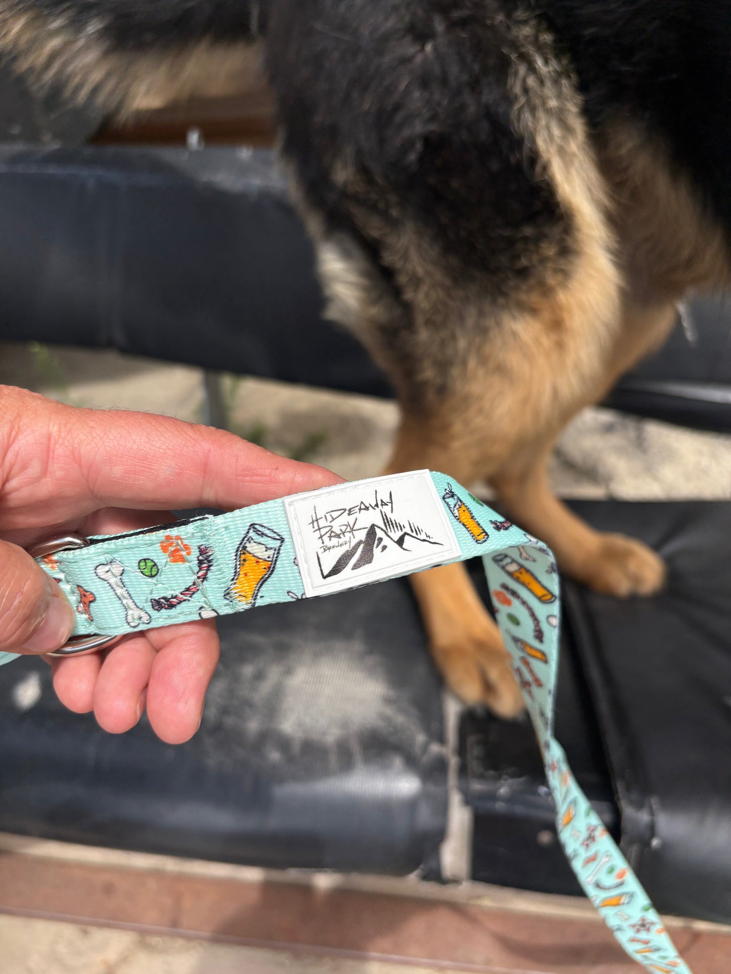 Dog Leash