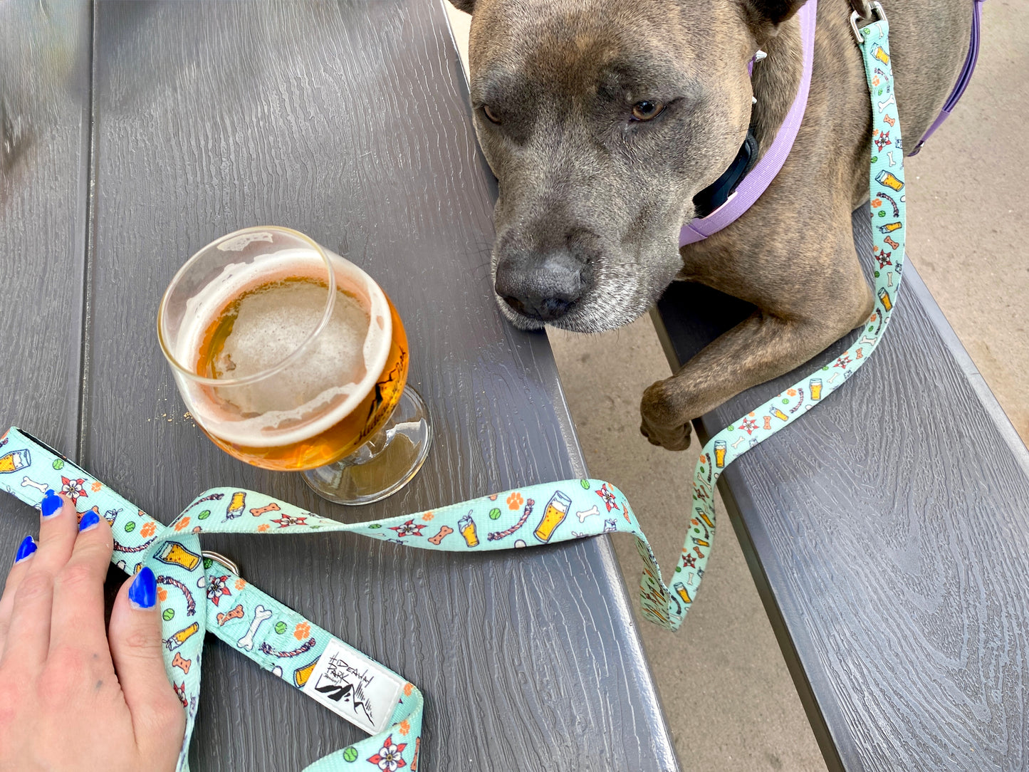 Dog Leash