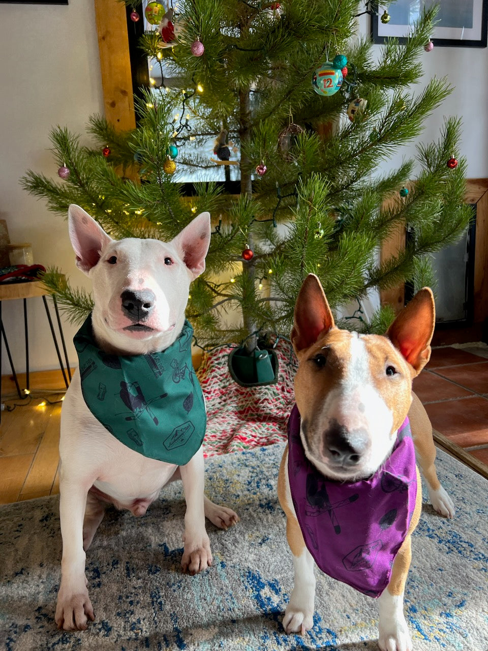 Dog Bandana