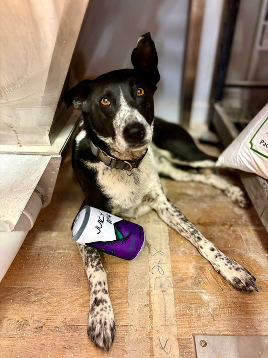 Dog Toy