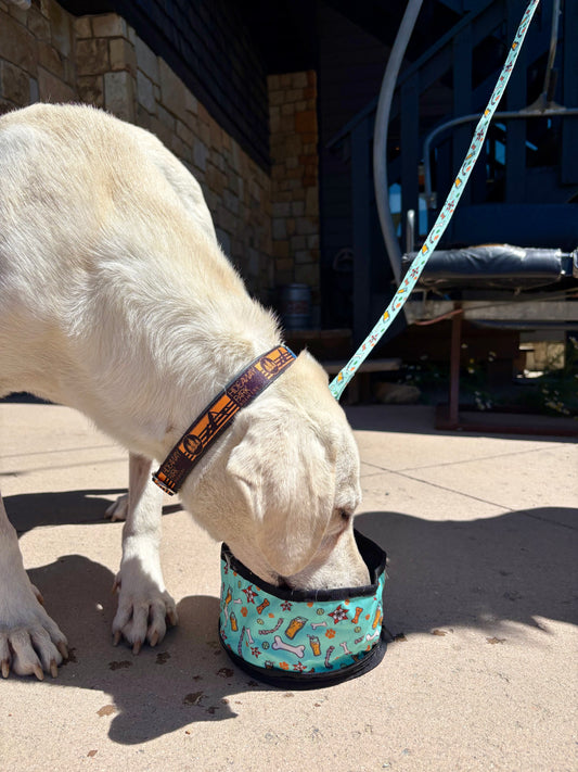 Travel Dog Bowl